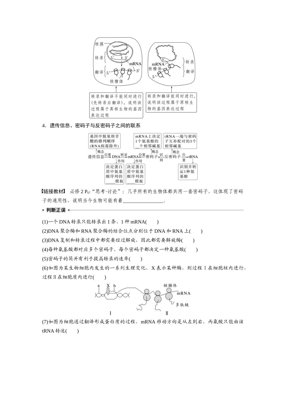 第六单元　第31课时　基因的表达.docx_第3页