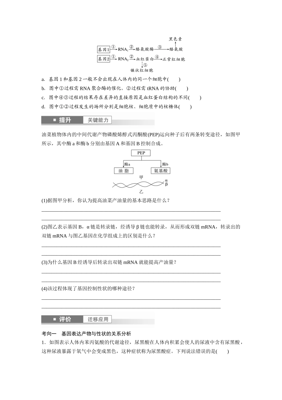 第六单元　第32课时　基因表达与性状的关系.docx_第3页