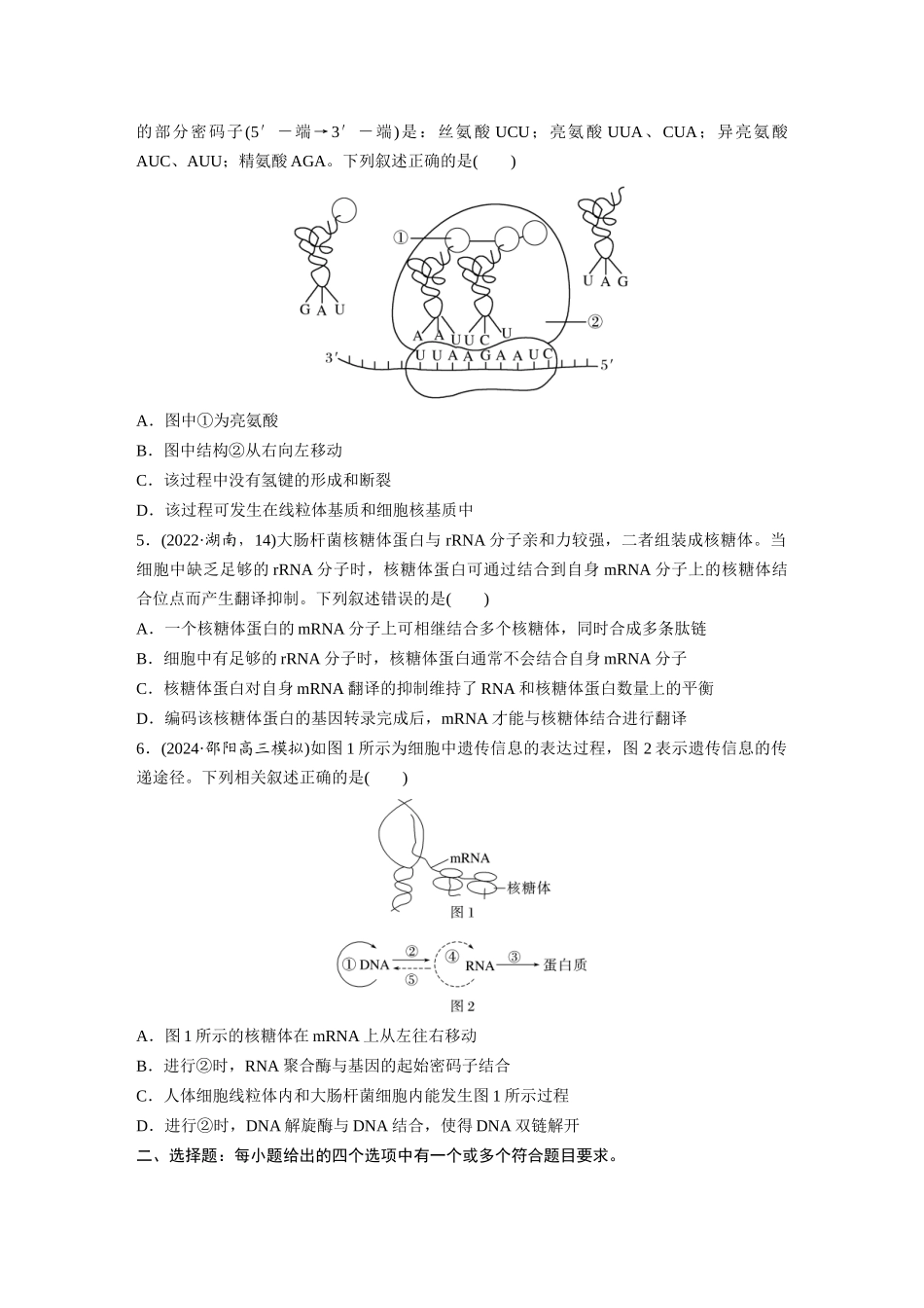 第六单元　课时练31　基因的表达.docx_第2页