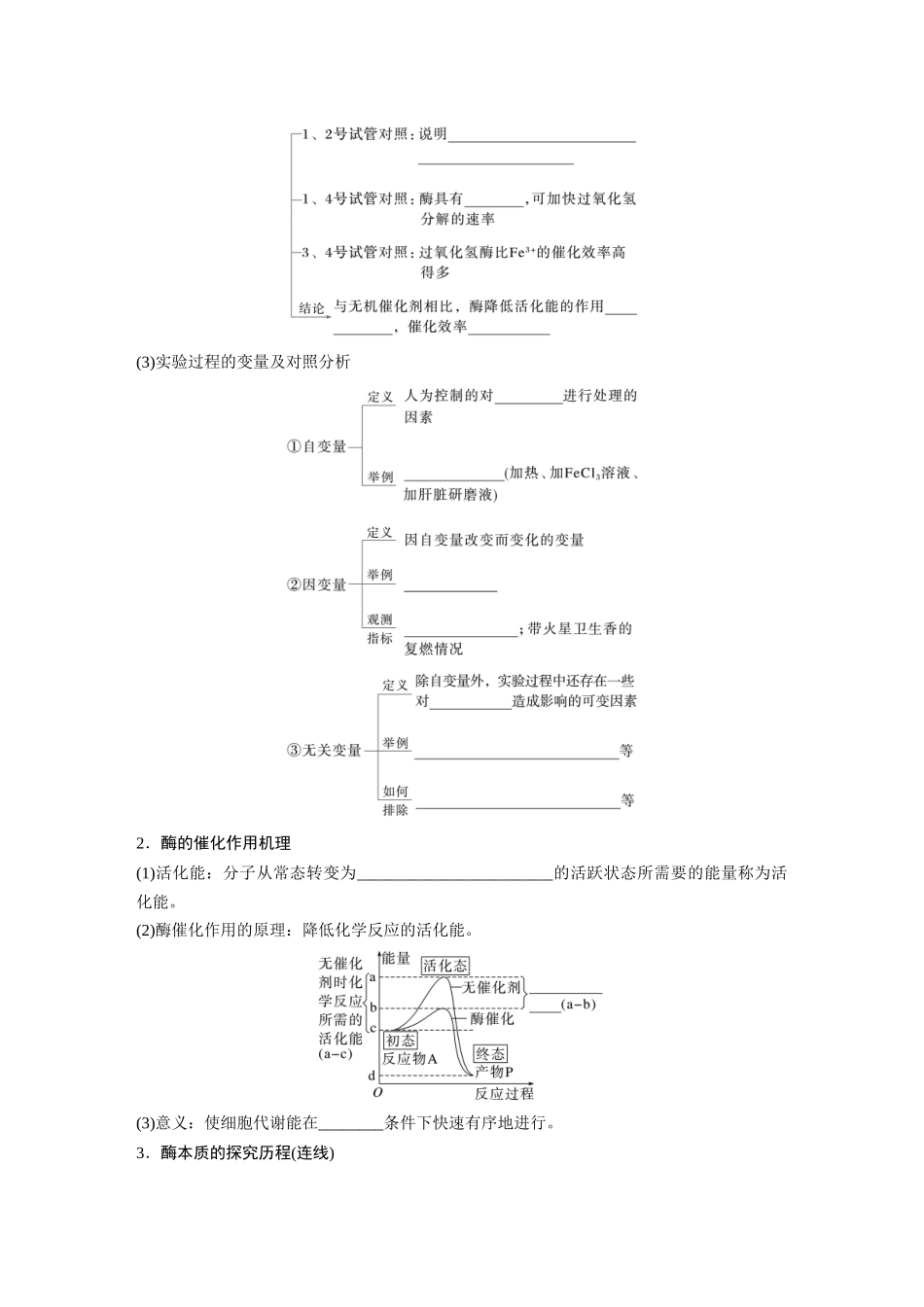 第三单元　第11课时　降低化学反应活化能的酶.docx_第2页