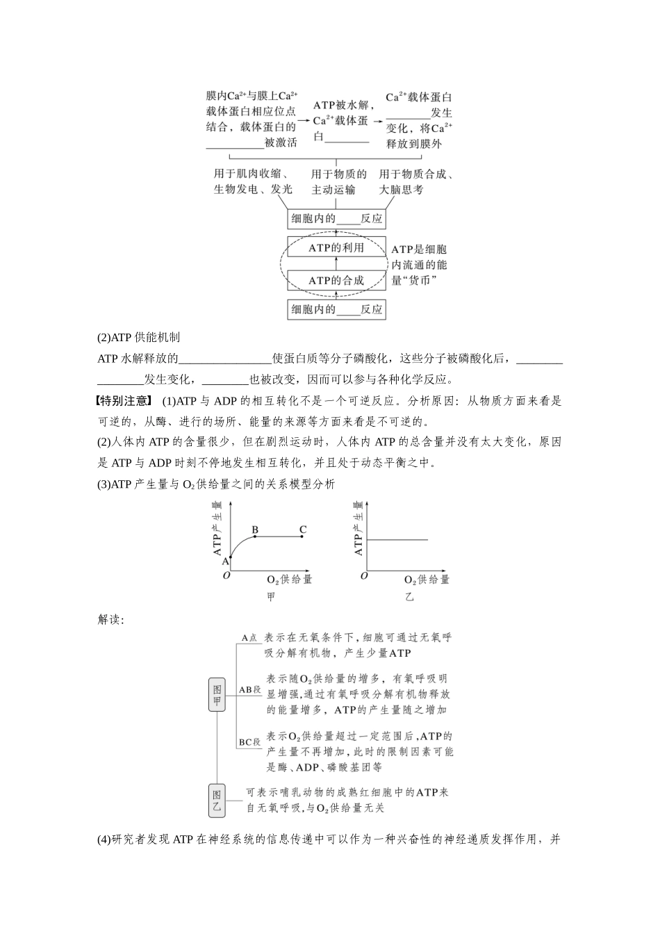 第三单元　第12课时　细胞的能量“货币”ATP.docx_第3页