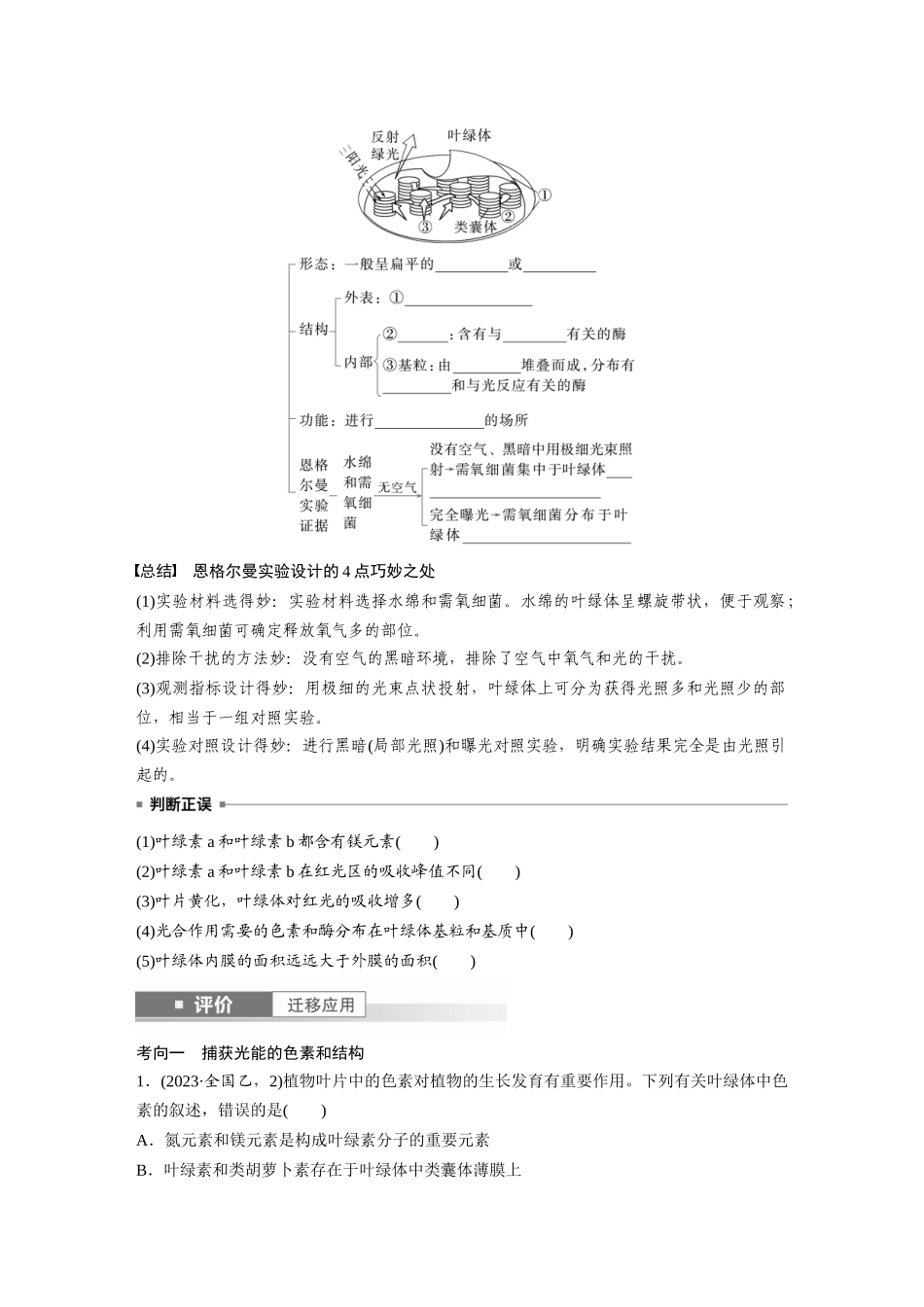 第三单元　第15课时　捕获光能的色素和结构及光合作用原理的探索.docx_第3页