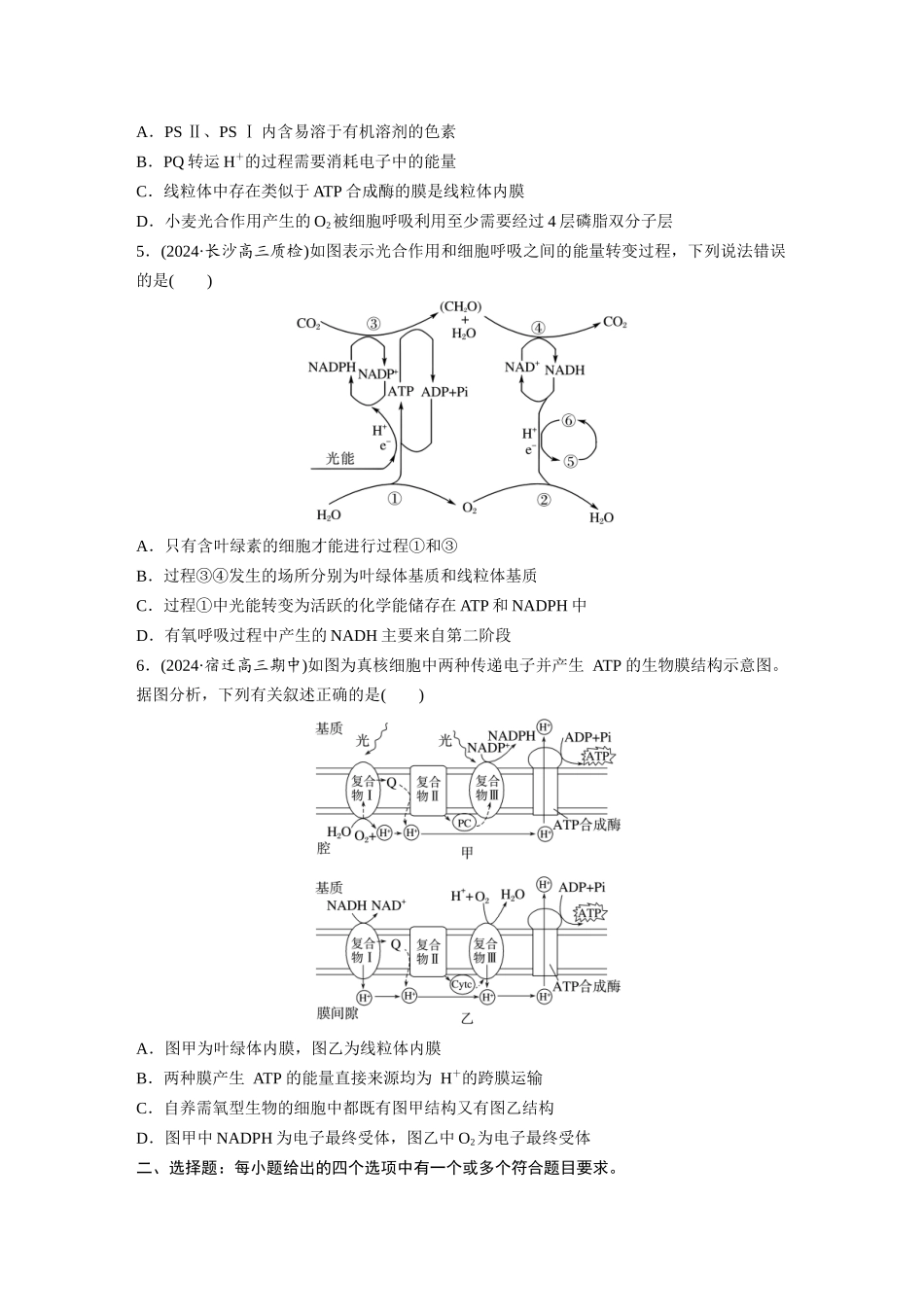 第三单元　课时练16　光合作用的原理.docx_第2页