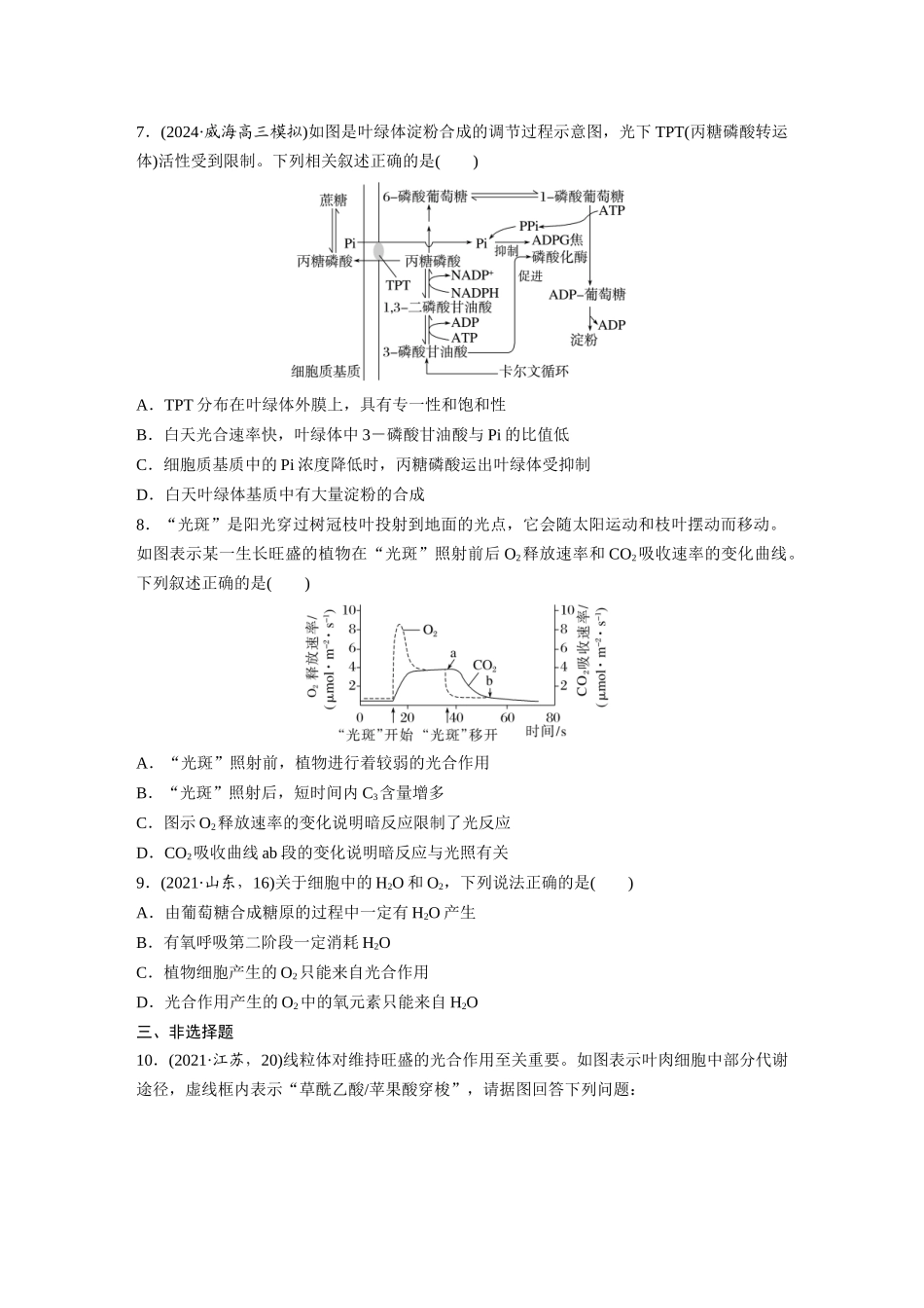 第三单元　课时练16　光合作用的原理.docx_第3页