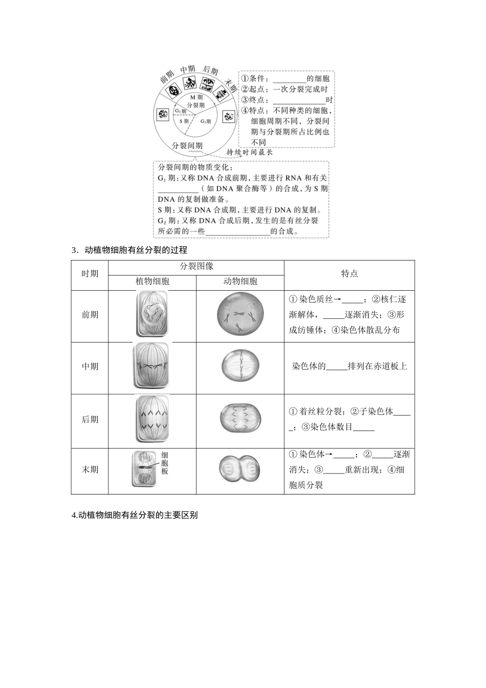 第四单元　第19课时　细胞的增殖.docx_第2页