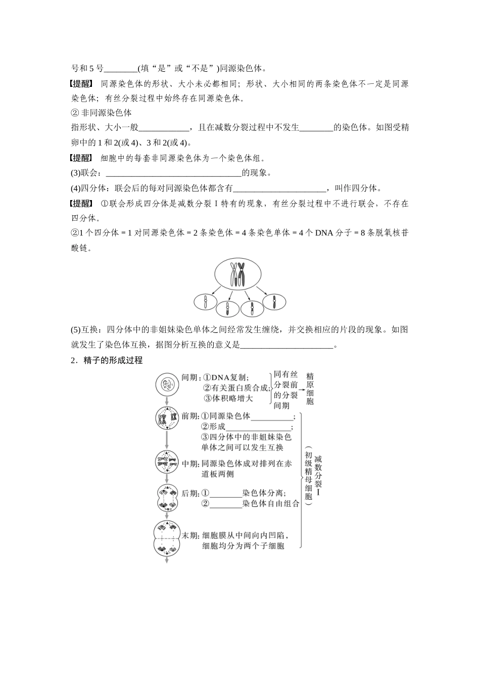 第四单元　第21课时　减数分裂和受精作用.docx_第2页
