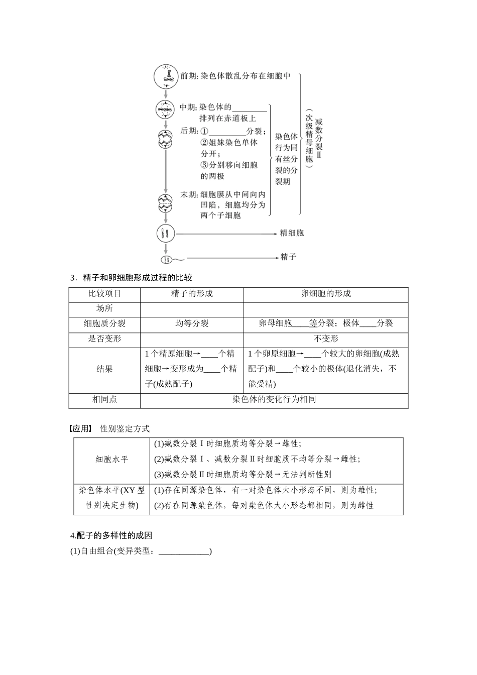 第四单元　第21课时　减数分裂和受精作用.docx_第3页
