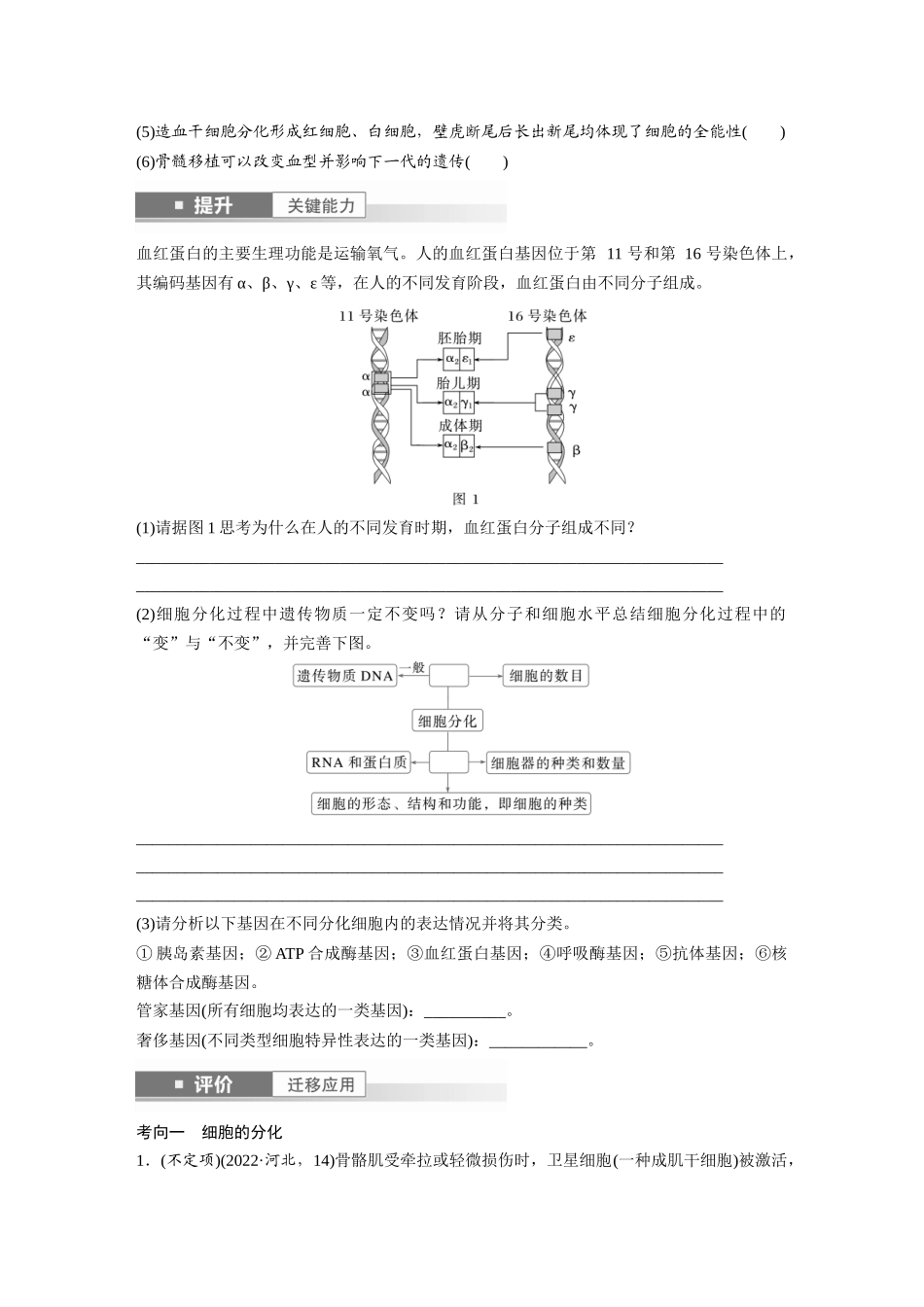 第四单元　第23课时　细胞的分化、衰老和死亡.docx_第3页