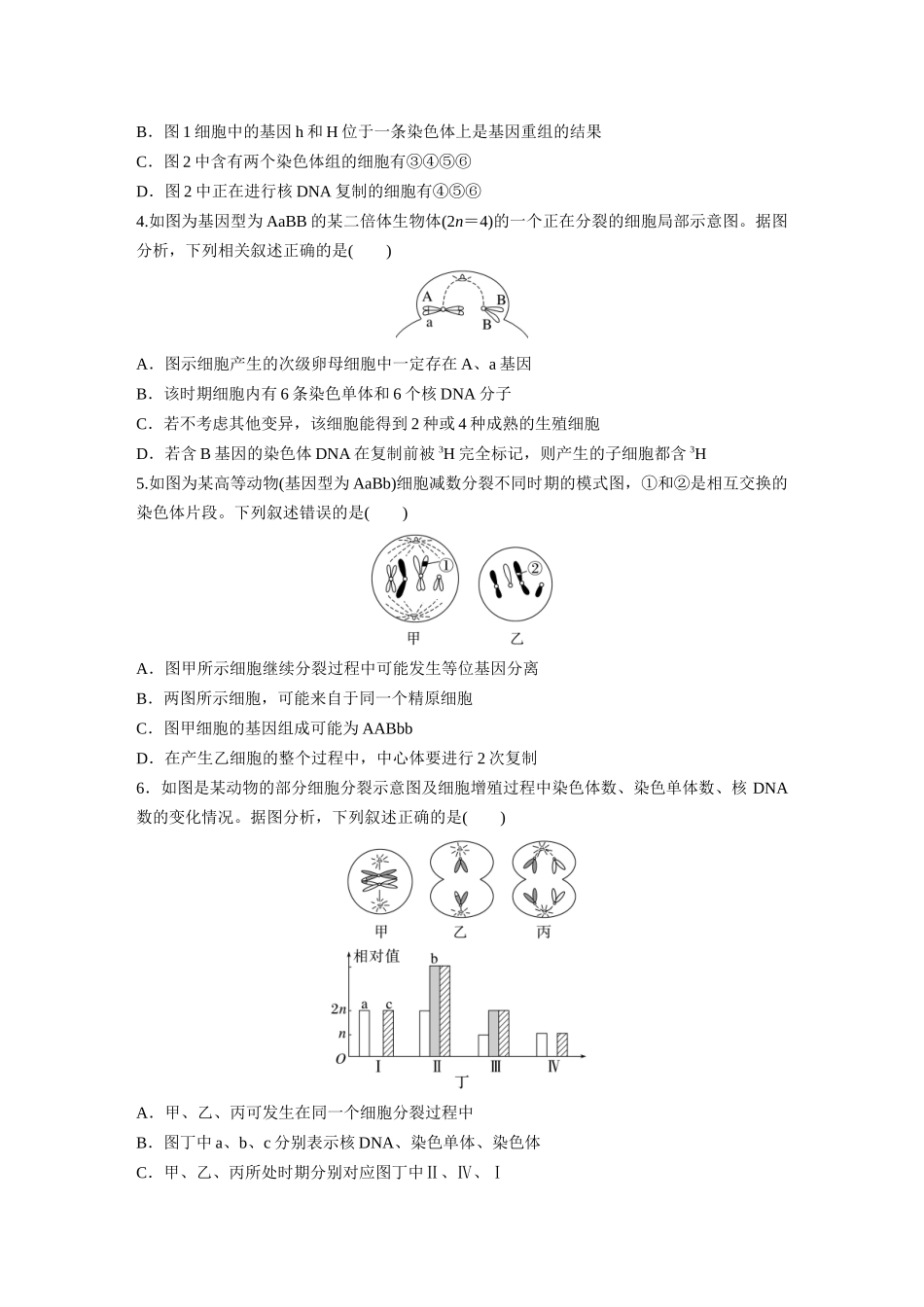 第四单元　专题突破4　减数分裂与可遗传变异的关系.docx_第2页