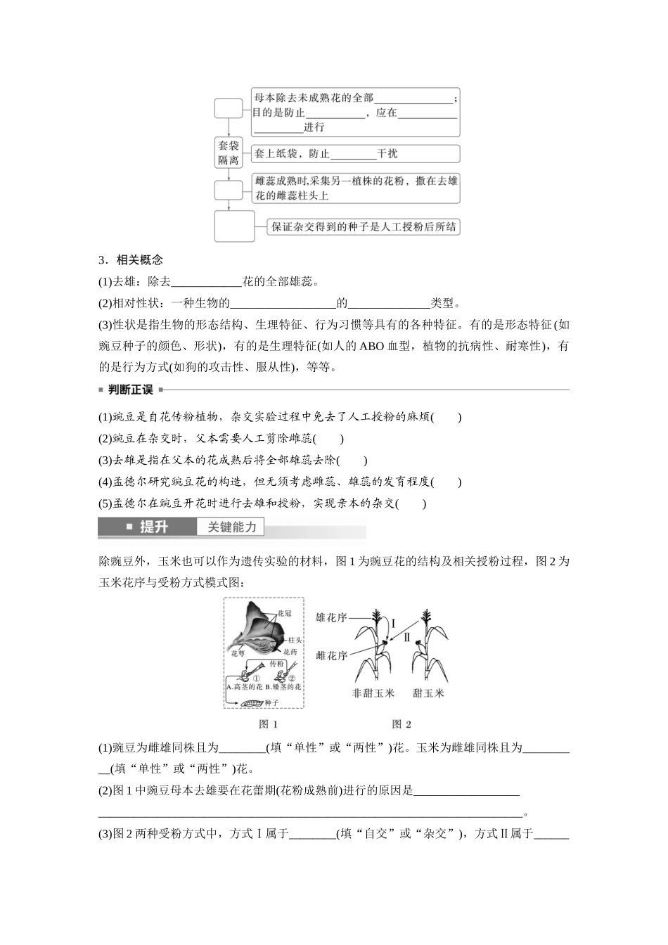 第五单元　第24课时　一对相对性状的杂交实验.docx_第2页