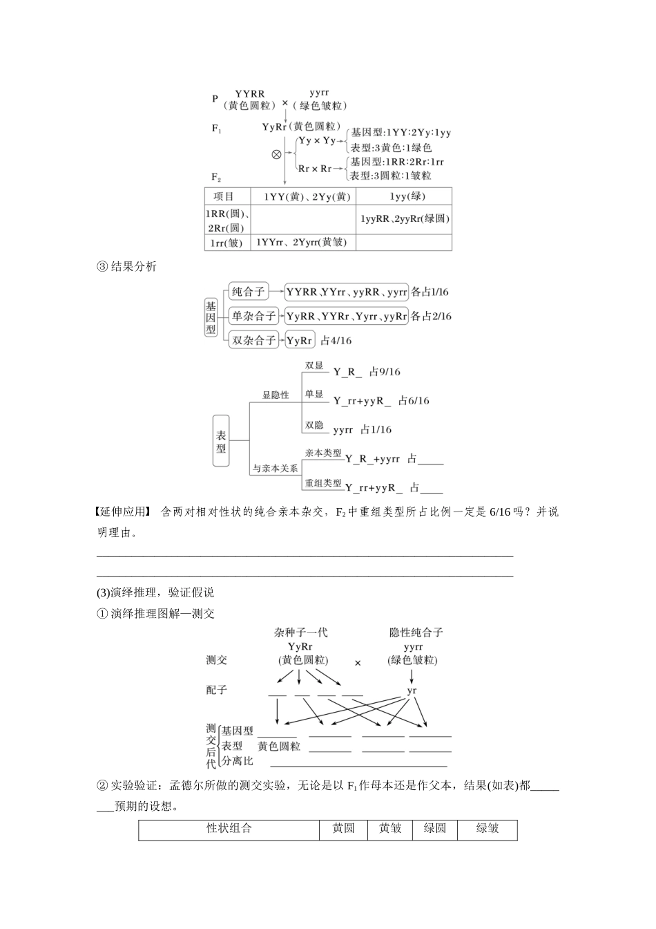 第五单元 第26课时 自由组合定律.docx_第3页