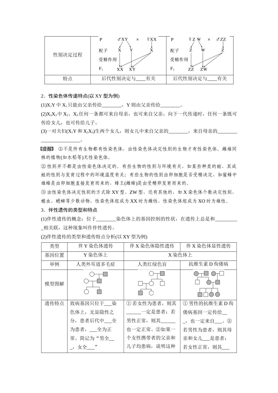 第五单元　第28课时　伴性遗传和人类遗传病.docx_第2页
