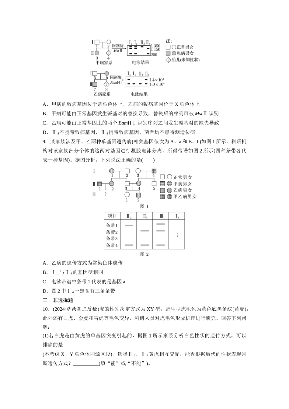 第五单元　课时练28　伴性遗传和人类遗传病.docx_第3页