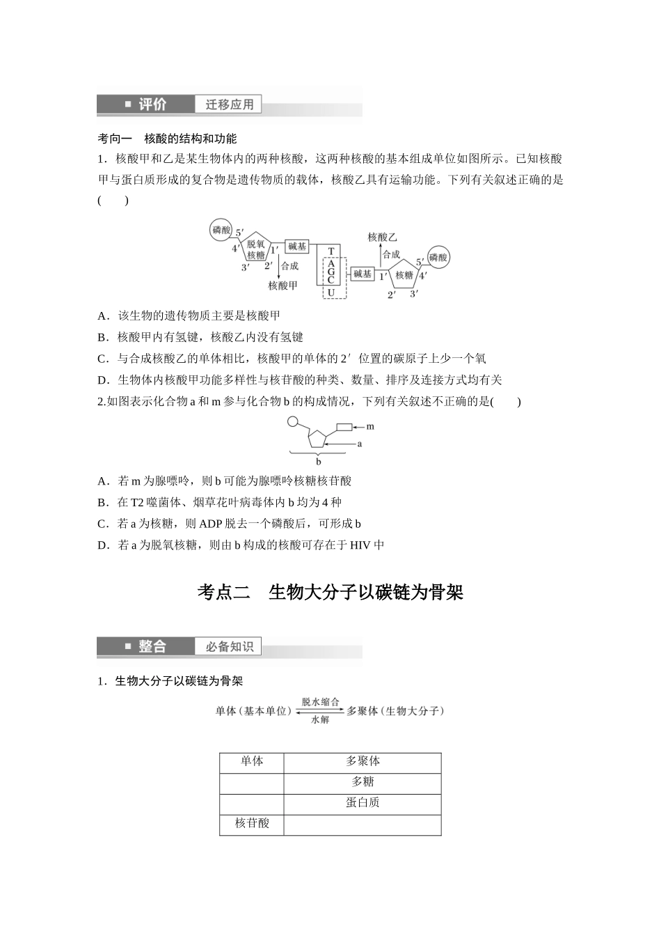 第一单元　第5课时　核酸是遗传信息的携带者.docx_第3页