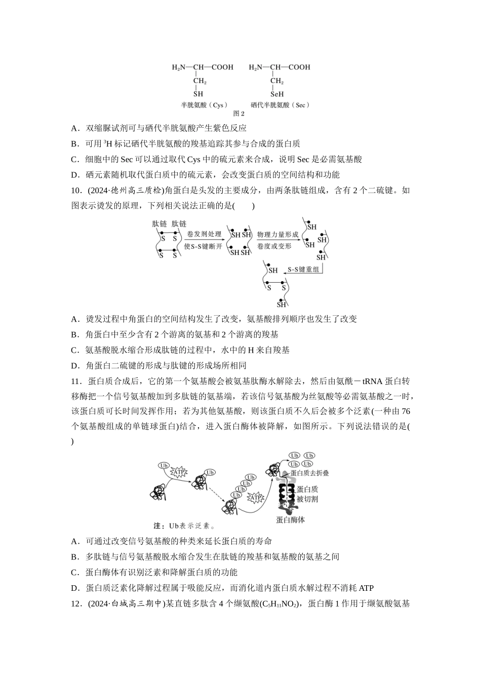 第一单元 课时练4 蛋白质是生命活动的主要承担者.docx_第3页