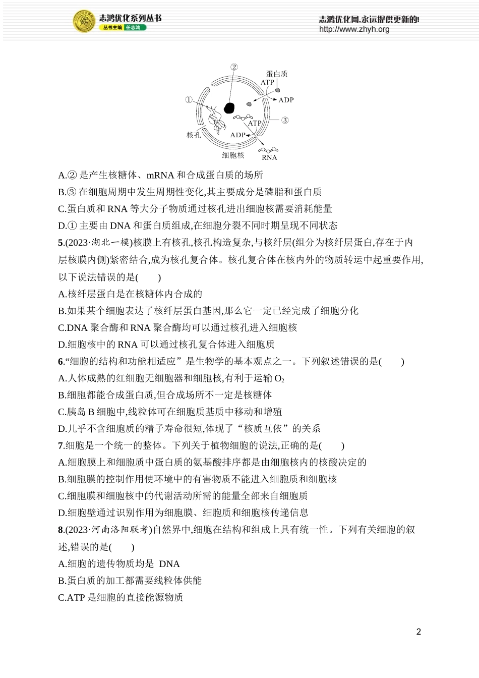 课时规范练7　细胞核与细胞结构的统一性.docx_第2页