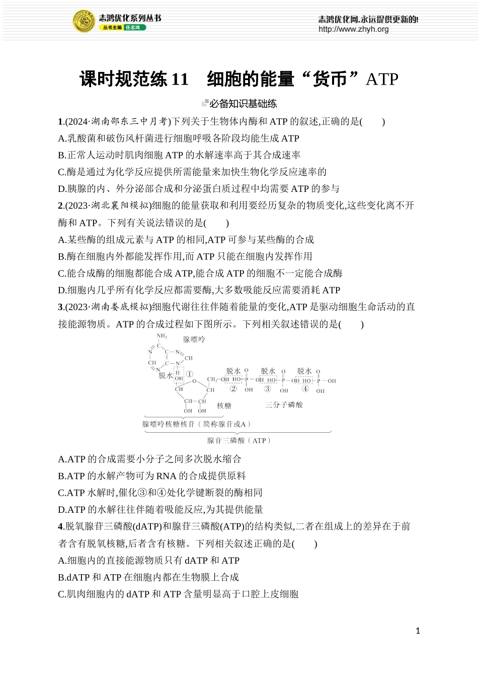 课时规范练11　细胞的能量“货币”ATP.docx_第1页