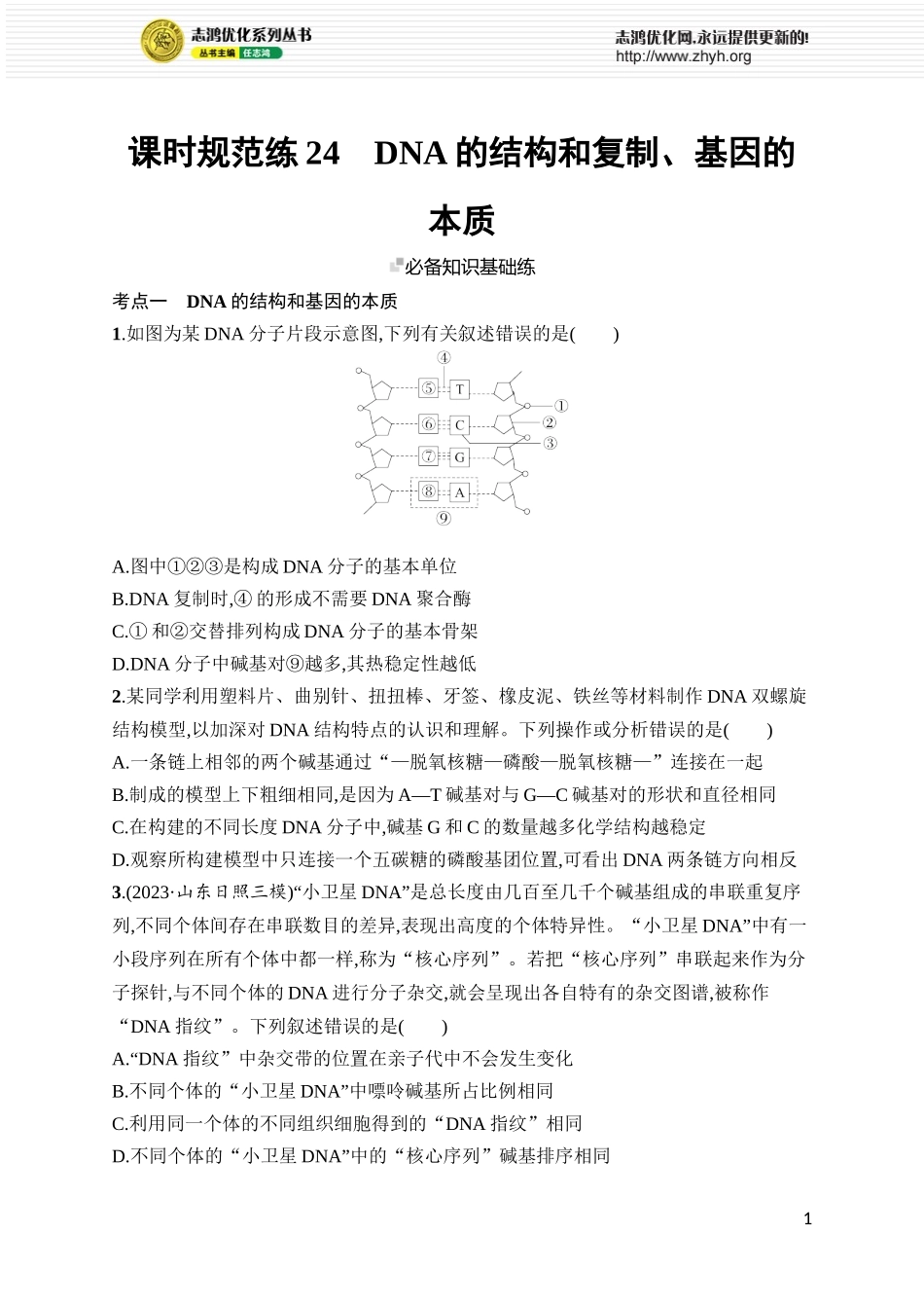 课时规范练24　DNA的结构和复制、基因的本质.docx_第1页