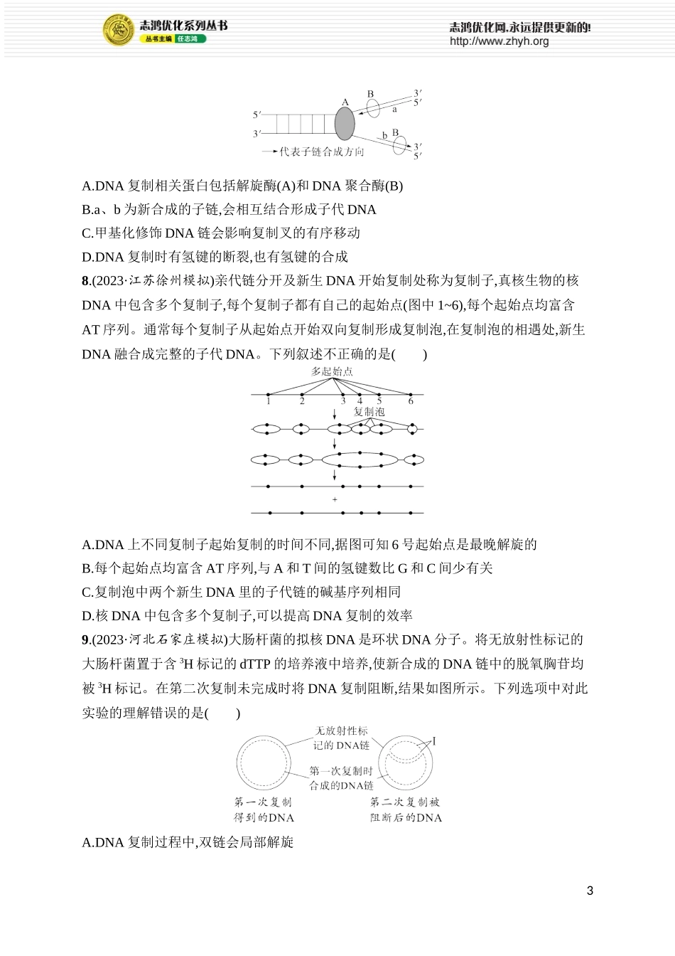 课时规范练24　DNA的结构和复制、基因的本质.docx_第3页