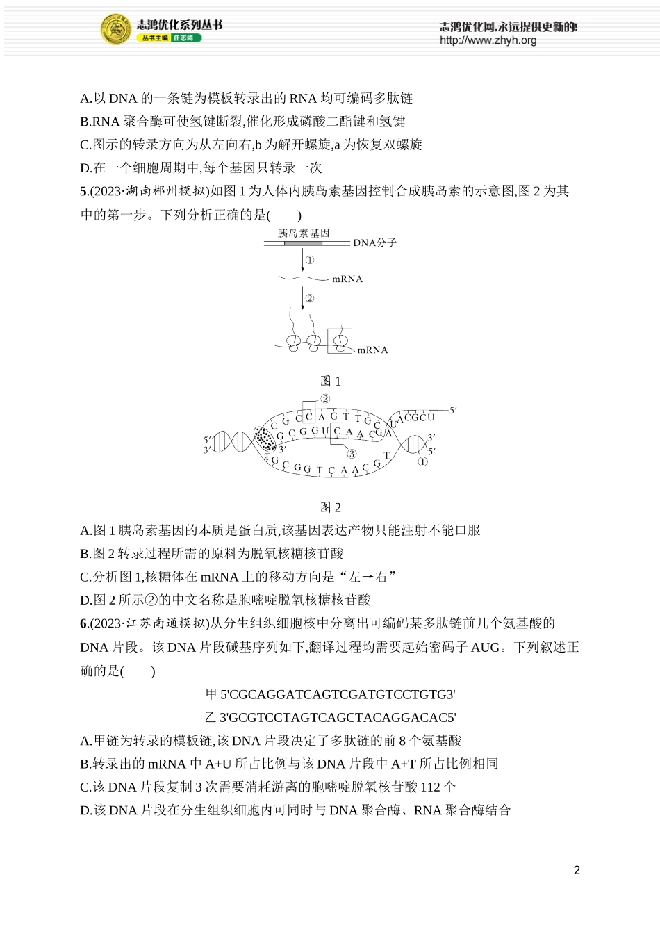 课时规范练25　基因的表达.docx_第2页