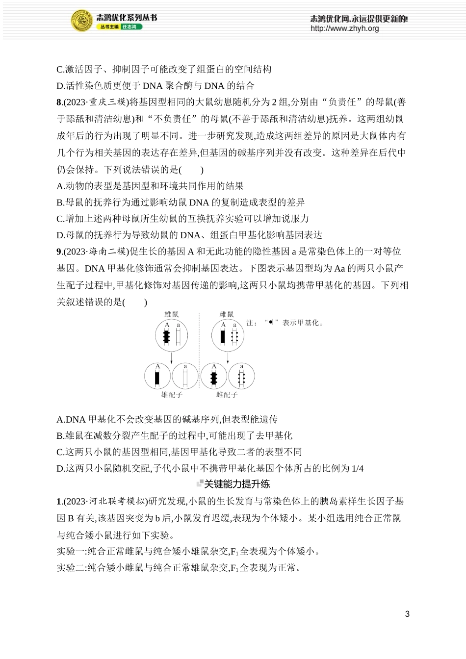 课时规范练26　基因表达和性状的关系.docx_第3页