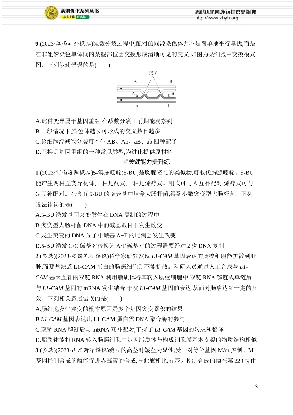 课时规范练27　基因突变、基因重组.docx_第3页