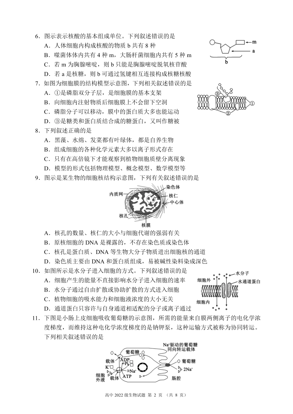 四川省成都市蓉城名校2023-2024学年高二下学期6月期末联考生物试题.pdf_第2页
