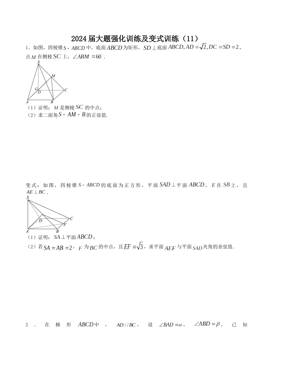 大题强化训练及变式训练（11）-（新高考九省联考题型）（原卷版）.docx_第1页