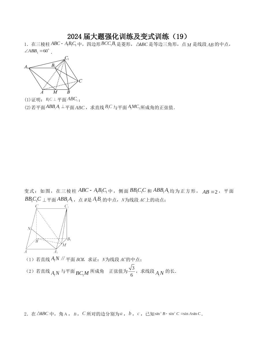 大题强化及变式训练（19）-（新高考九省联考题型）（原卷版）.docx_第1页