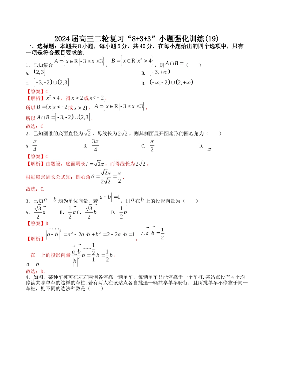 “8+3+3”小题强化训练(19)(新高考九省联考题型)(解析版).docx_第1页