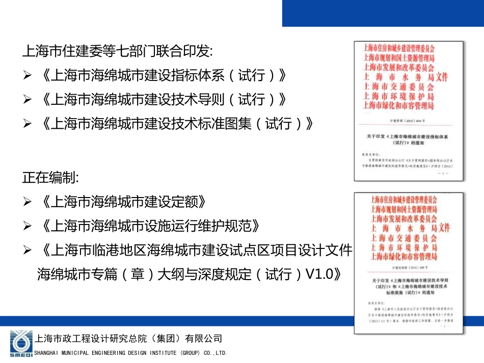 上海市临港地区海绵城市建设试点项目技术管控宣贯.pdf_第3页