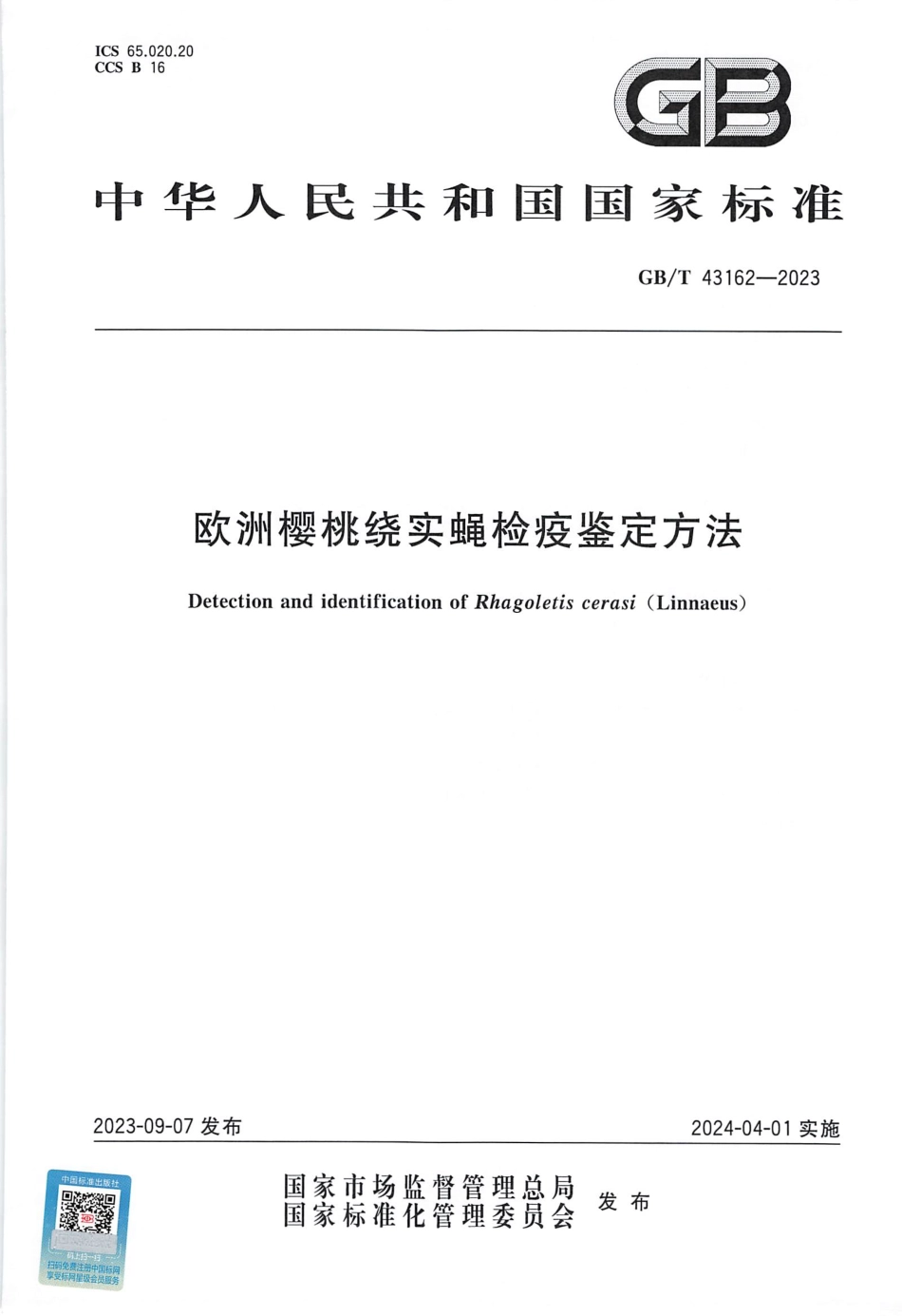 GB／T 43162-2023 欧洲樱桃绕实蝇检疫鉴定方法.pdf_第1页