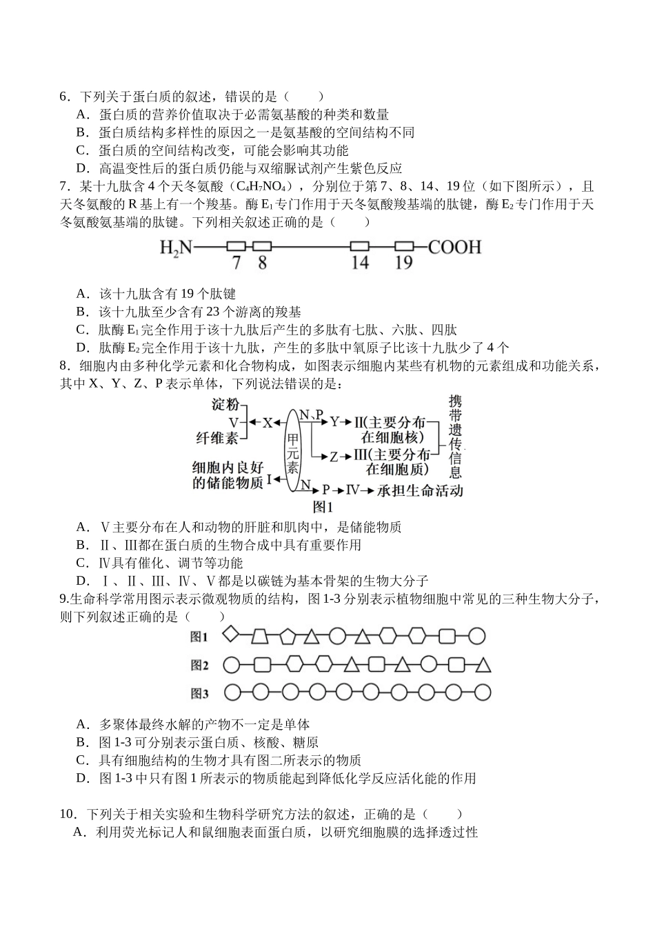 河南省实验中学2025——2026学年高一第二次月考.docx_第2页
