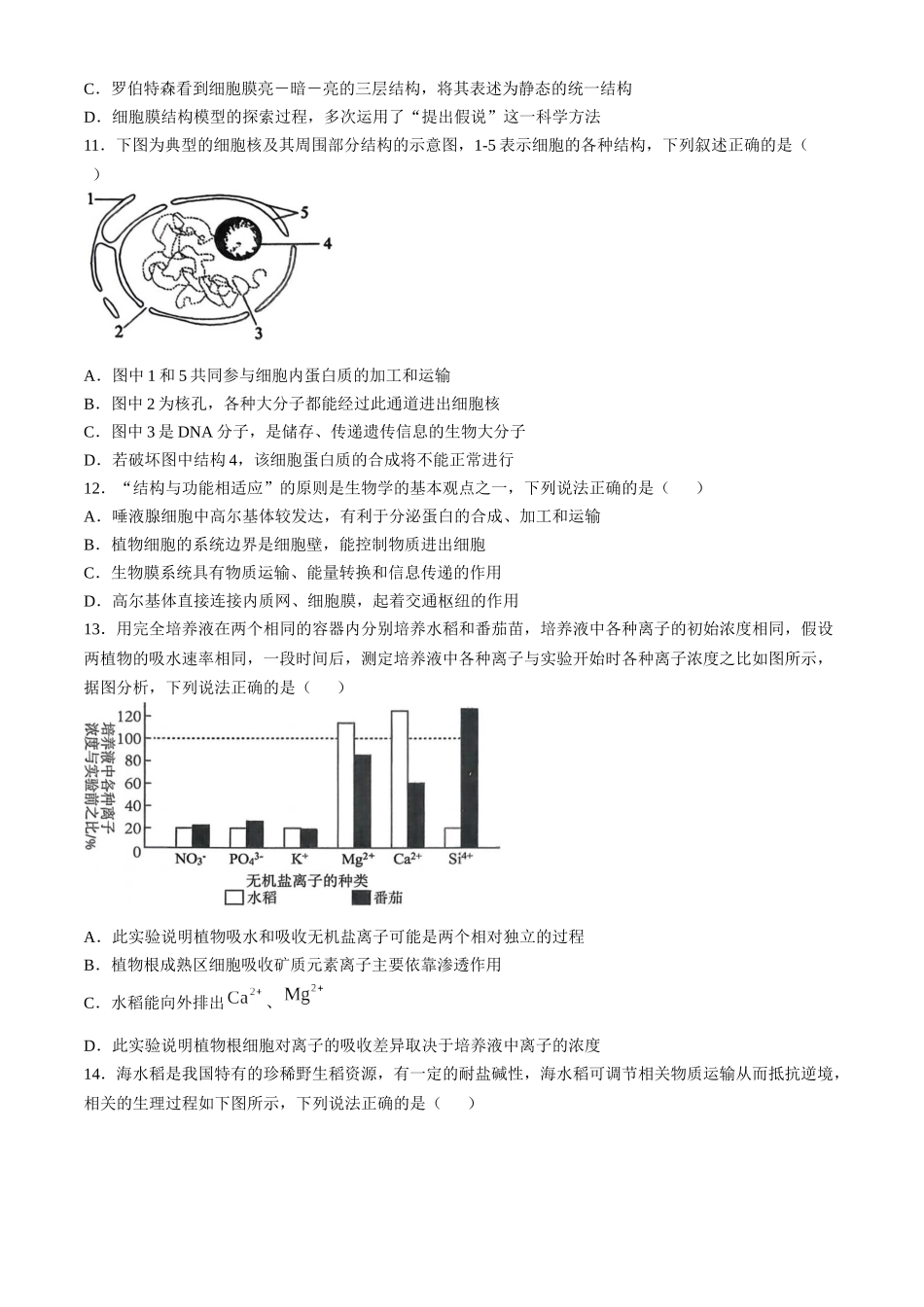 湖北百强高中名校2025-2026学年高一上学期12月月考生物试题.docx_第3页