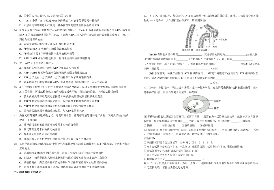 湖北襄阳市第四中学2025-2026学年高一上学期12月月考生物试题含解析.docx_第3页