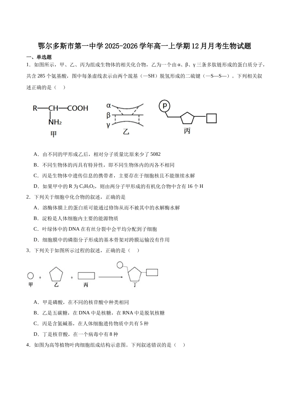 内蒙古自治区鄂尔多斯市第一中学2025-2026学年高一上学期12月月考生物试卷（含答案）.docx_第1页