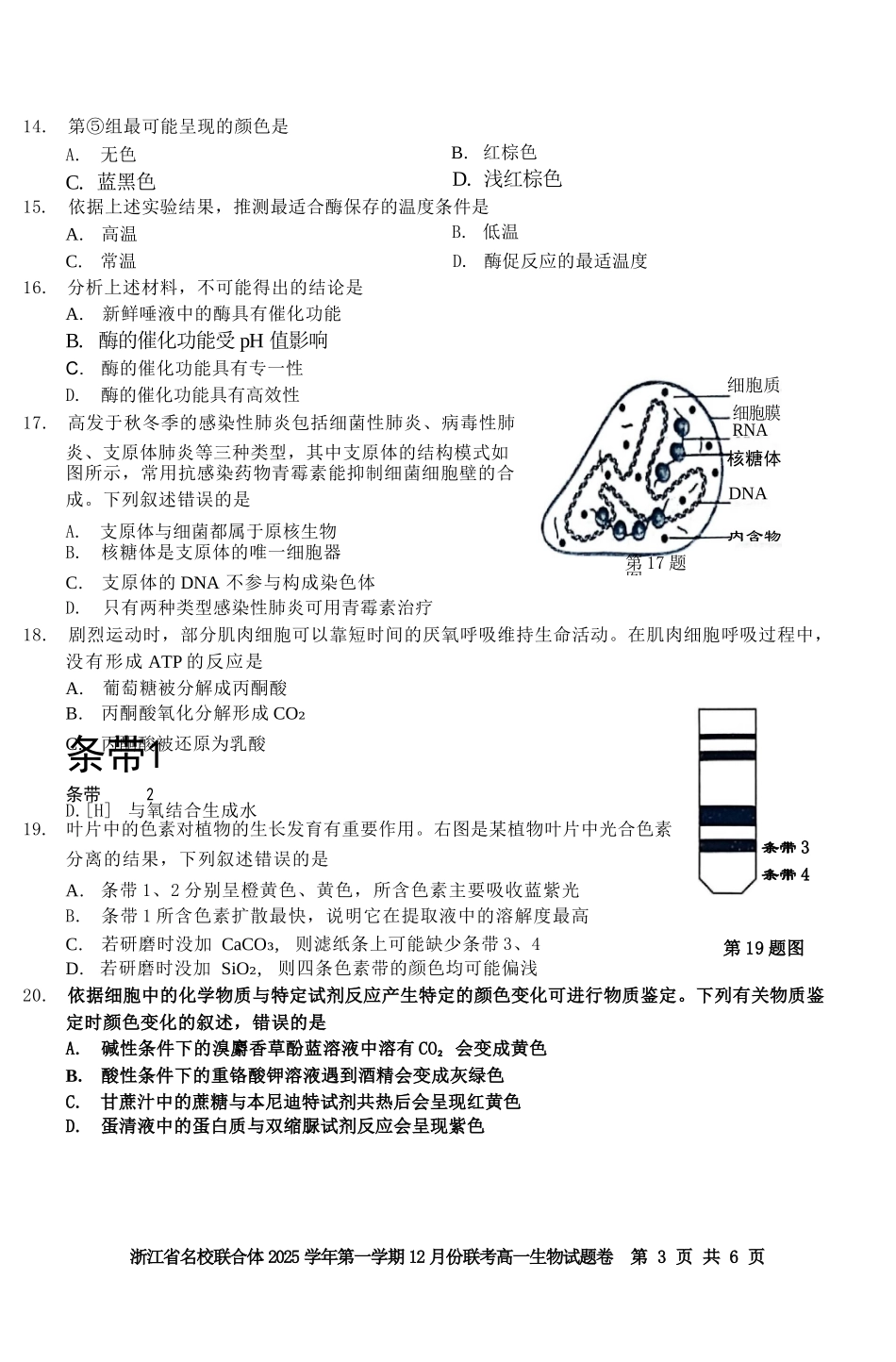 生物浙江名校联合体2025学年第一学期高一年级12月份联考（12.24-12.26）.docx_第3页