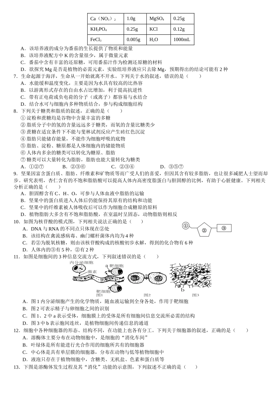 云南文山壮族苗族自治州文山市第一中学2025-2026学年高一上学期12月月考生物试题.docx_第2页
