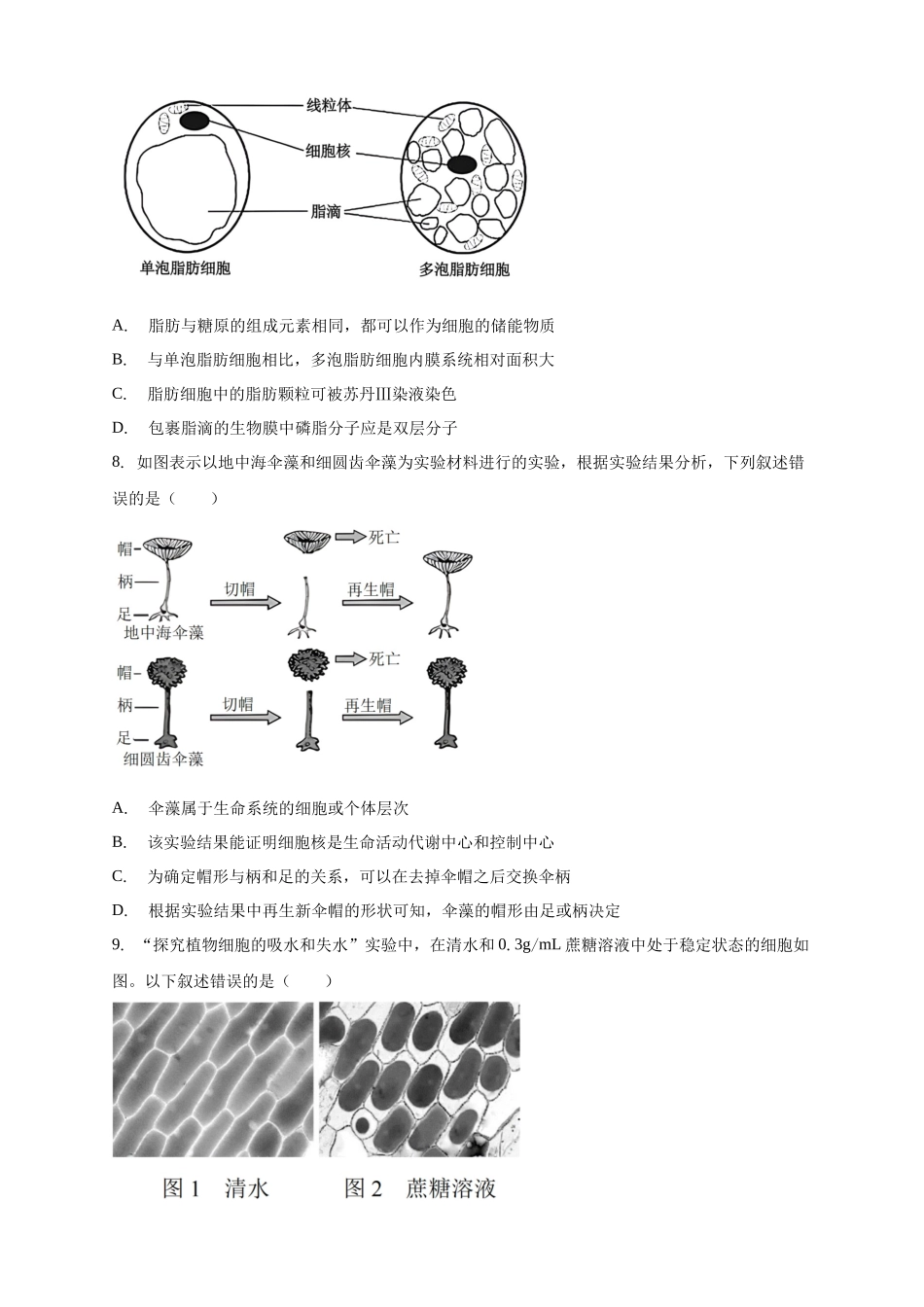 安徽滁州市定远县育才学校2025-2026学年高一上学期12月月考生物试题（含答案）.docx_第3页
