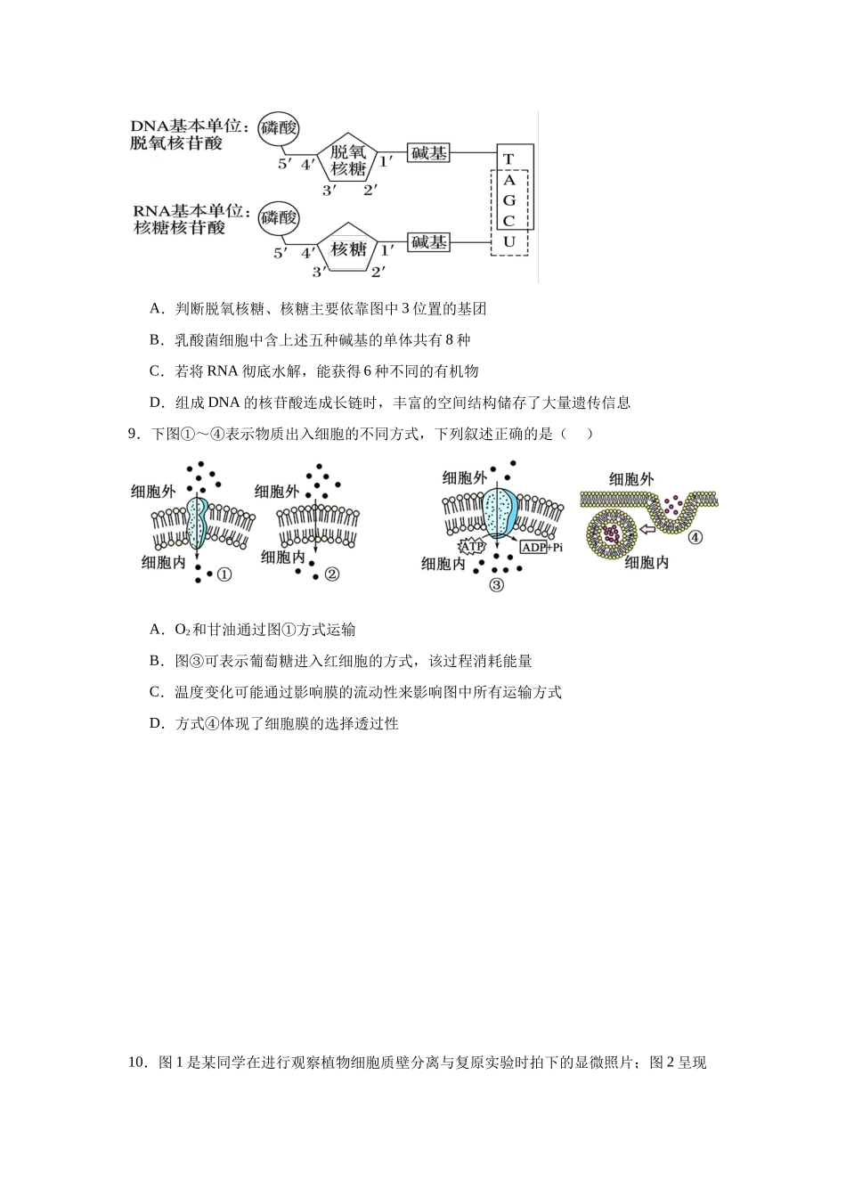 湖南岳阳市汨罗市第二中学2025-2026学年高一上学期12月月考生物试题（含答案）.docx_第3页