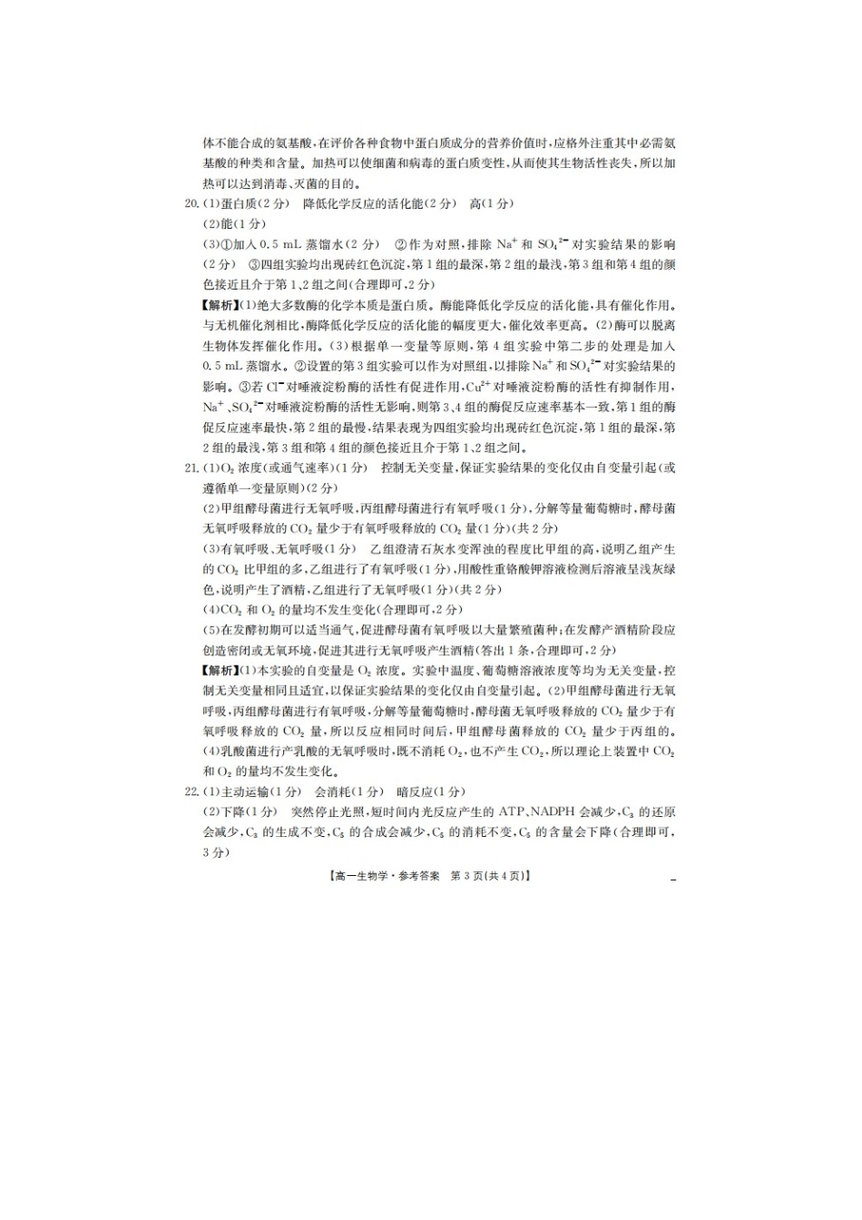 生物(26-230A)答案邢台市卓越联盟2025-2026学年高一上学期第三次(1月)月考(26-230A)（1.9-1.10）.docx_第3页