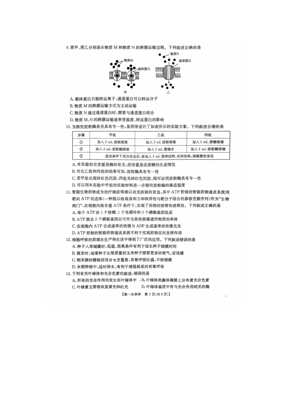 生物(26-230A)邢台市卓越联盟2025-2026学年高一上学期第三次(1月)月考(26-230A)（1.9-1.10）.docx_第3页