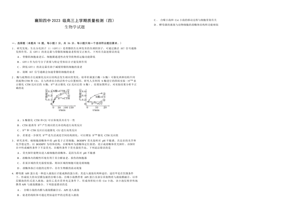 生物+答案湖北襄阳四中2023级(2026届)高三上学期质量检测(四)(12月月考)(12.3-12.4).docx_第1页