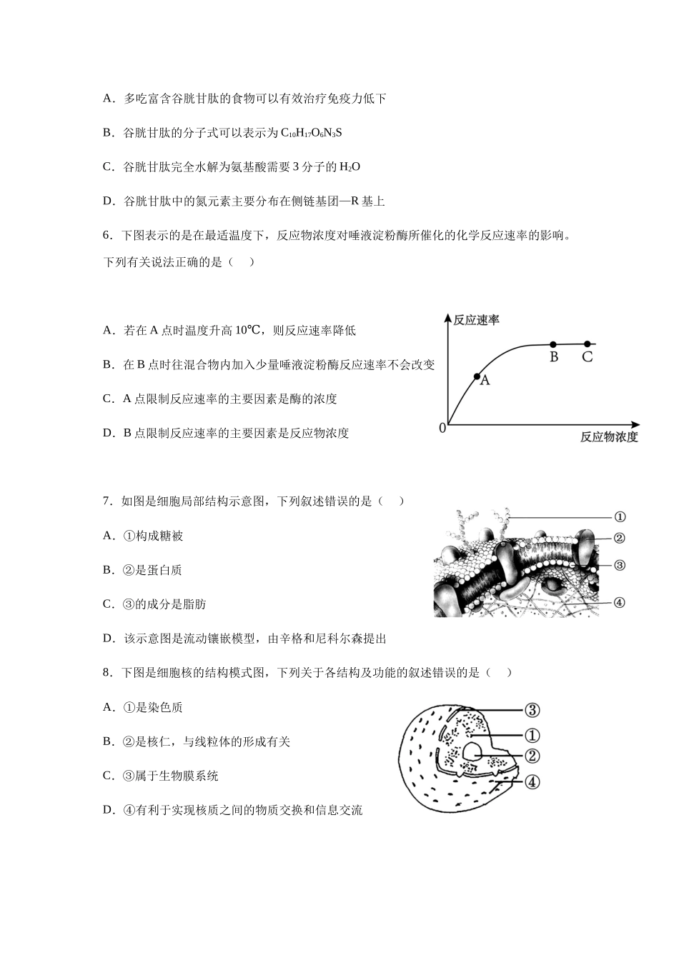 四川内江市第一中学2025-2026学年高一上学期12月月考生物试题（含答案）.docx_第2页