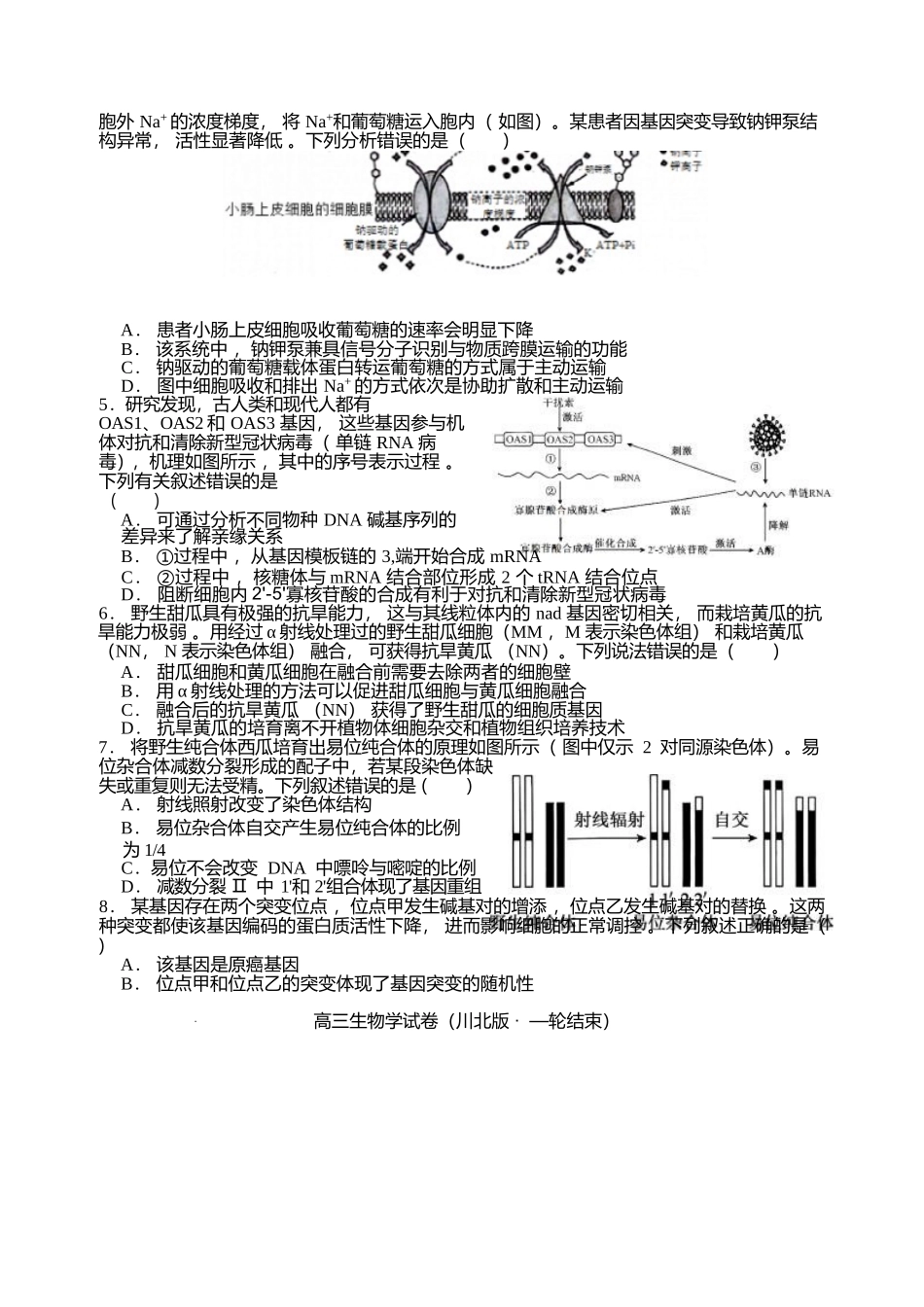 字节精准教育联盟2026届高三上学期第二阶段学情调研测试生物+答案.docx_第2页