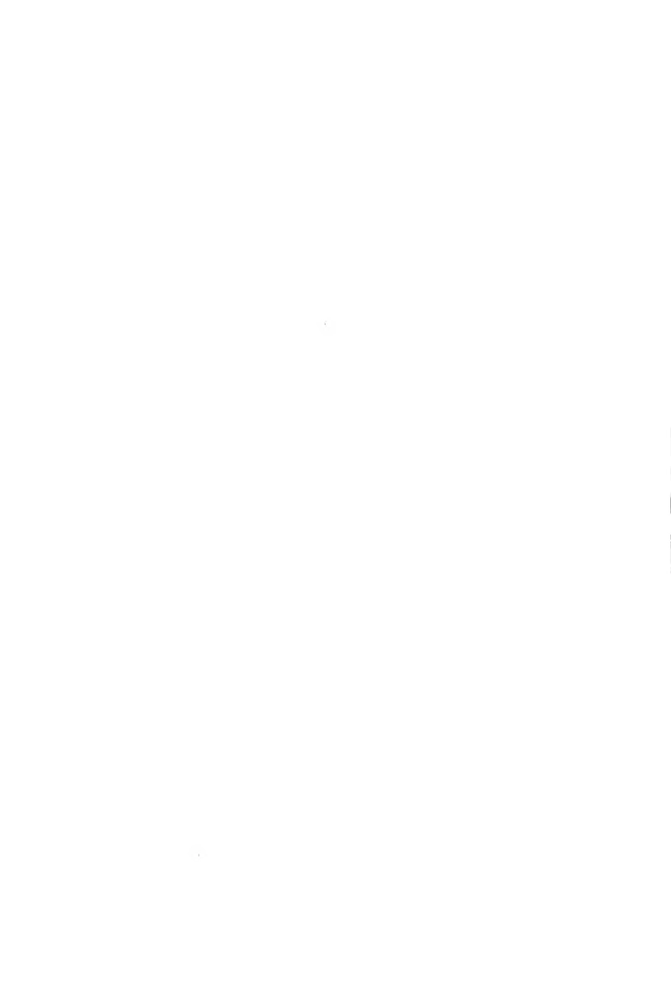 CJJ 106-2010 城市市政综合监管信息系统技术规范.pdf_第3页