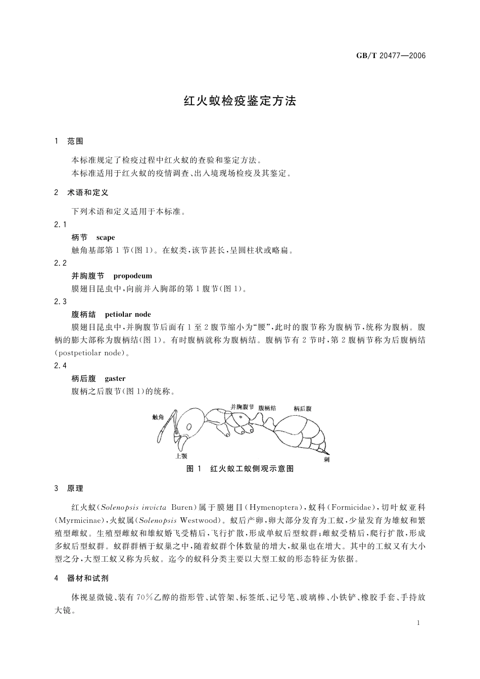 GB／T 20477-2006 红火蚁检疫鉴定方法.pdf_第3页