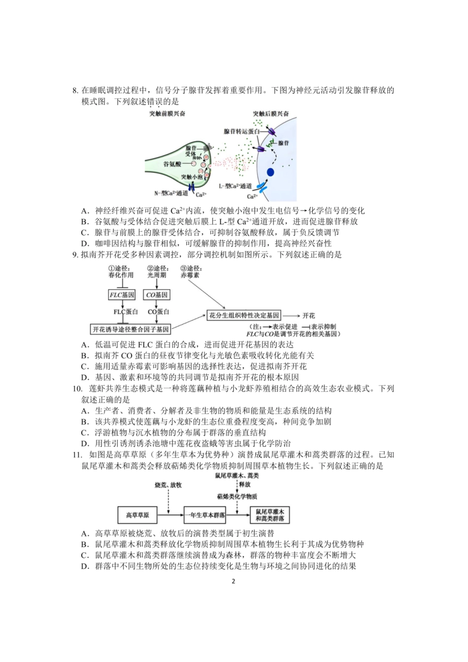【生物+答案】【订正重发】江苏（南师附中、天一、海安、海门）四校2026届高三年级上学期12月份测试()(12.24-12.26).pdf_第2页