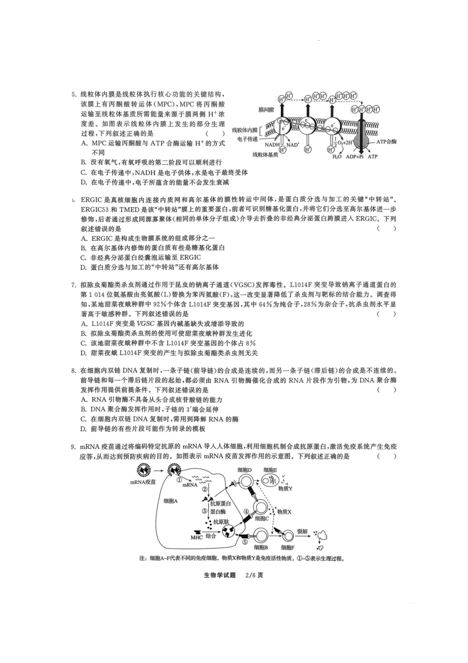 2026届高三12月联合质量检测生物.pdf_第2页