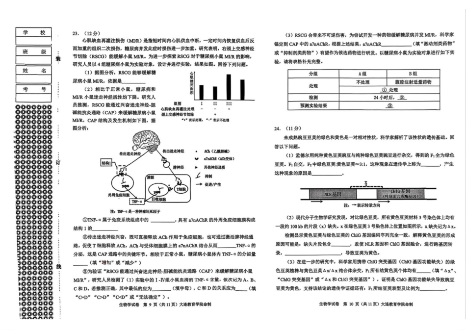 2026年大连市高三双基模拟考试生物.pdf_第3页